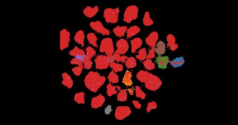 Tahoe-100M: A Giga-Scale Single-Cell Perturbation Atlas for Context-Dependent Gene Function and Cellular Modeling