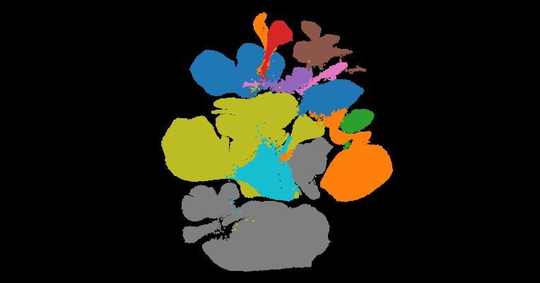 Astrocyte regional specialization is shaped by postnatal development