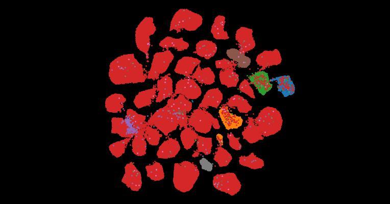Tahoe-100M: A Giga-Scale Single-Cell Perturbation Atlas for Context-Dependent Gene Function and Cellular Modeling