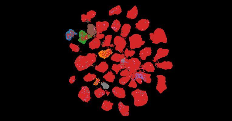 Tahoe-100M: A Giga-Scale Single-Cell Perturbation Atlas for Context-Dependent Gene Function and Cellular Modeling