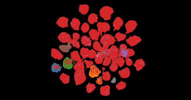 Tahoe-100M: A Giga-Scale Single-Cell Perturbation Atlas for Context-Dependent Gene Function and Cellular Modeling