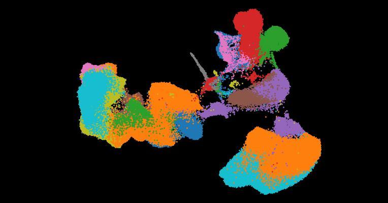 Automatic cell-type harmonization and integration across Human Cell Atlas datasets