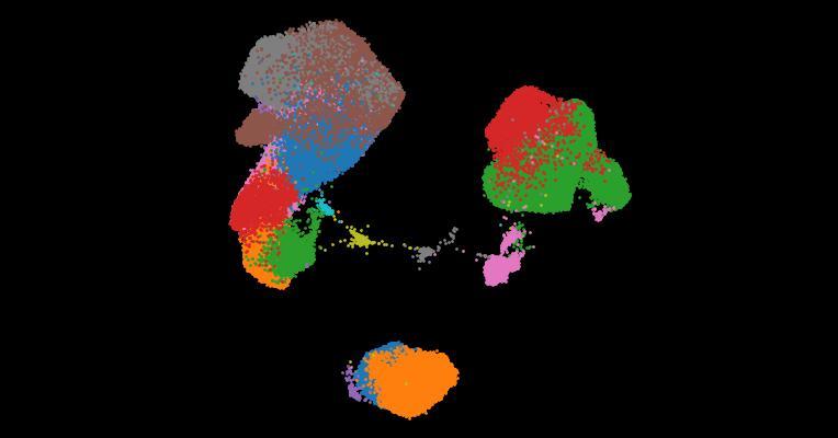 A single-cell cytokine dictionary of human peripheral blood
