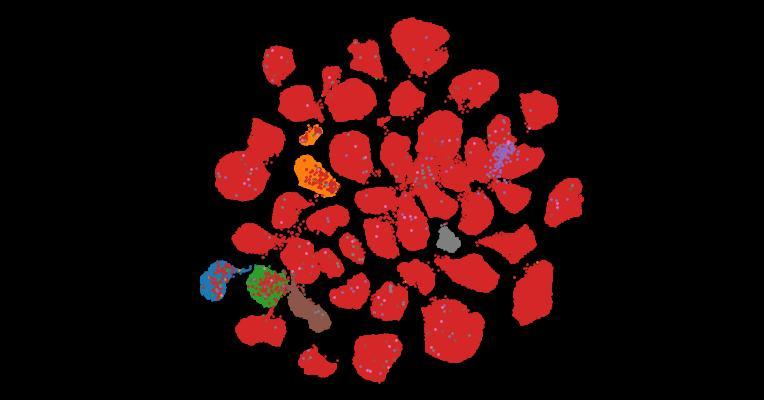 Tahoe-100M: A Giga-Scale Single-Cell Perturbation Atlas for Context-Dependent Gene Function and Cellular Modeling
