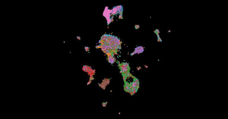 Transcriptional profile of the rat cardiovascular system at single-cell resolution