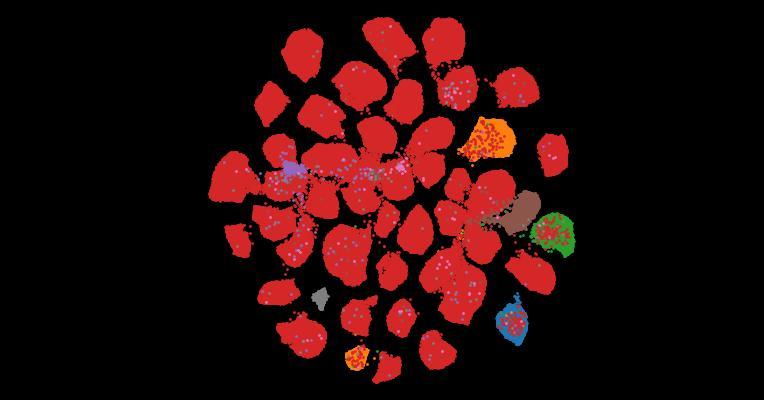 Tahoe-100M: A Giga-Scale Single-Cell Perturbation Atlas for Context-Dependent Gene Function and Cellular Modeling