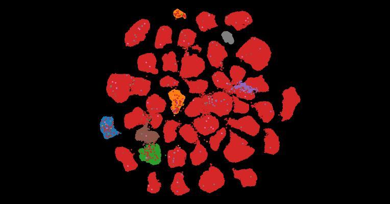 Tahoe-100M: A Giga-Scale Single-Cell Perturbation Atlas for Context-Dependent Gene Function and Cellular Modeling