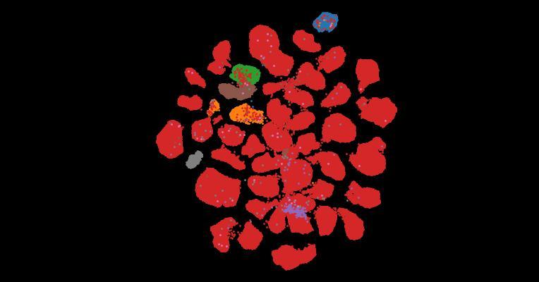 Tahoe-100M: A Giga-Scale Single-Cell Perturbation Atlas for Context-Dependent Gene Function and Cellular Modeling