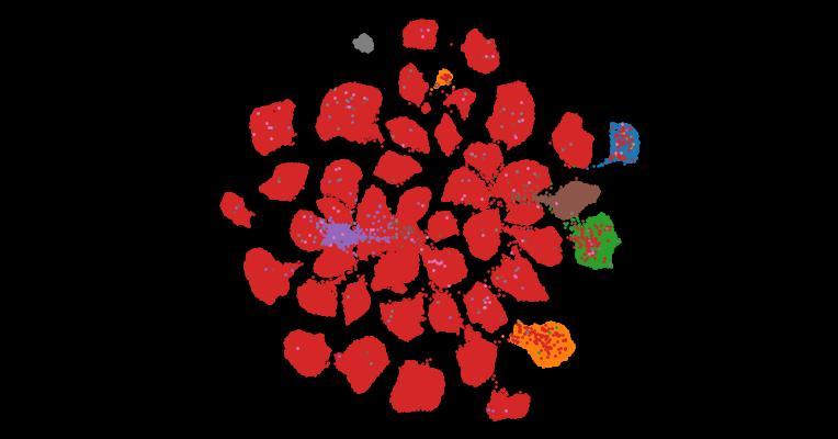 Tahoe-100M: A Giga-Scale Single-Cell Perturbation Atlas for Context-Dependent Gene Function and Cellular Modeling