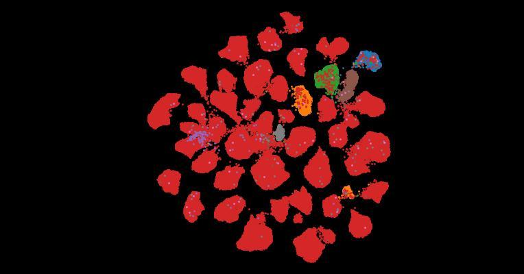 Tahoe-100M: A Giga-Scale Single-Cell Perturbation Atlas for Context-Dependent Gene Function and Cellular Modeling
