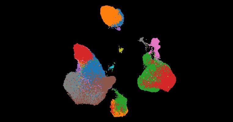 A single-cell cytokine dictionary of human peripheral blood