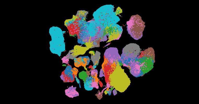 The Human Gut Cell Atlas v1.0: A Unified, Community-Built Reference of Cellular Diversity Across the Gut