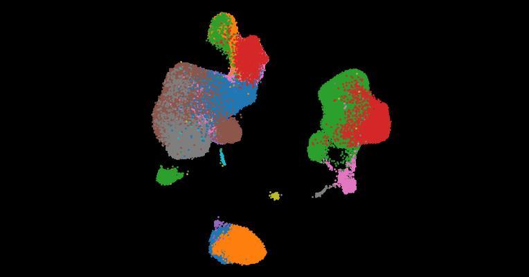 A single-cell cytokine dictionary of human peripheral blood