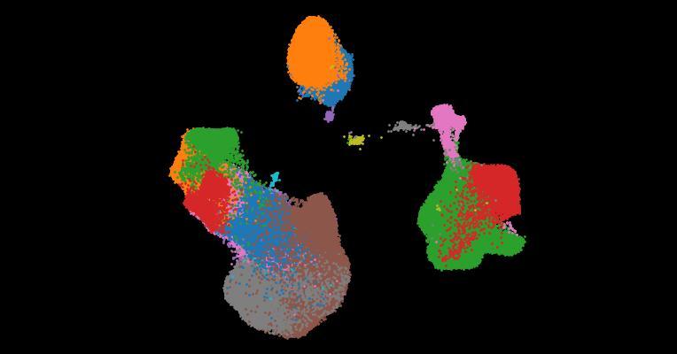 A single-cell cytokine dictionary of human peripheral blood