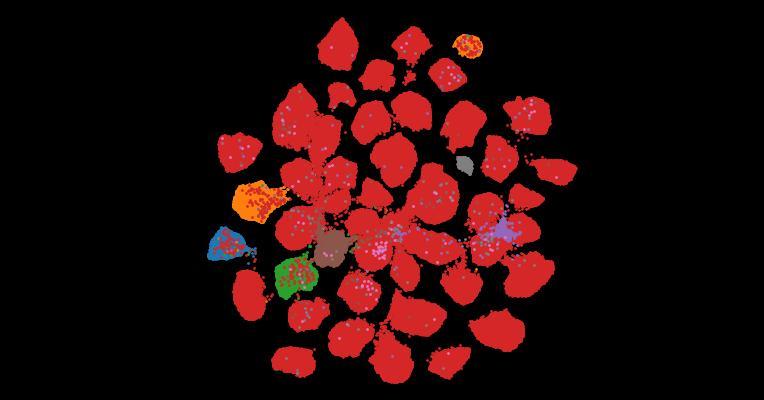 Tahoe-100M: A Giga-Scale Single-Cell Perturbation Atlas for Context-Dependent Gene Function and Cellular Modeling