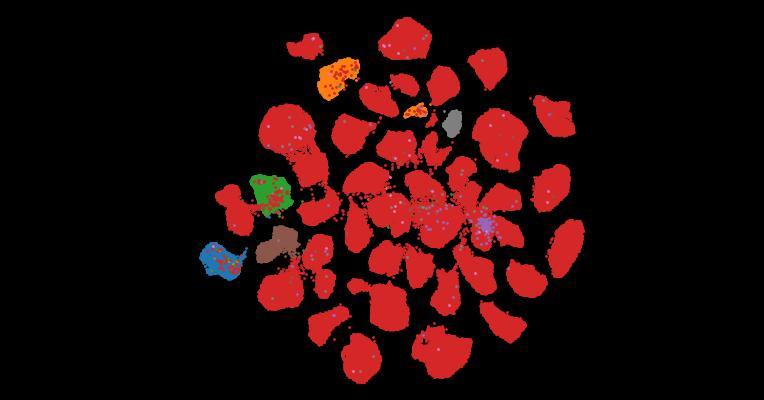 Tahoe-100M: A Giga-Scale Single-Cell Perturbation Atlas for Context-Dependent Gene Function and Cellular Modeling