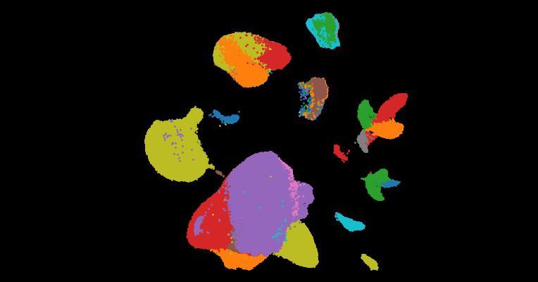 Automatic cell-type harmonization and integration across Human Cell Atlas datasets