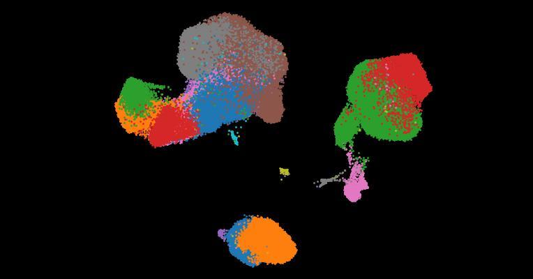 A single-cell cytokine dictionary of human peripheral blood