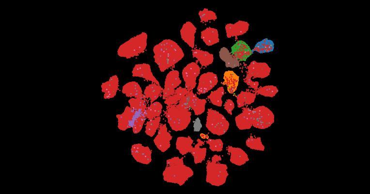 Tahoe-100M: A Giga-Scale Single-Cell Perturbation Atlas for Context-Dependent Gene Function and Cellular Modeling
