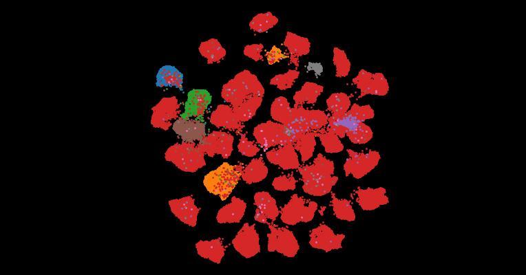 Tahoe-100M: A Giga-Scale Single-Cell Perturbation Atlas for Context-Dependent Gene Function and Cellular Modeling