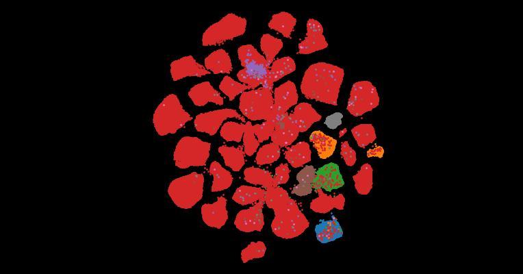 Tahoe-100M: A Giga-Scale Single-Cell Perturbation Atlas for Context-Dependent Gene Function and Cellular Modeling