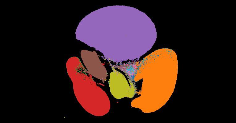 4D marmoset brain map reveals MRI and molecular signatures for onset of multiple sclerosis–like lesions