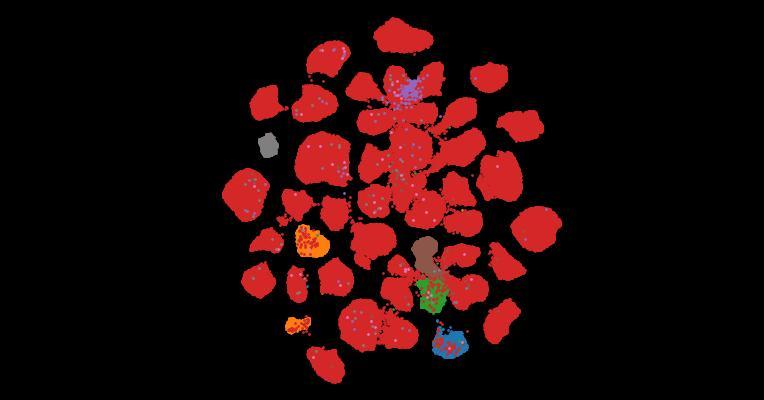 Tahoe-100M: A Giga-Scale Single-Cell Perturbation Atlas for Context-Dependent Gene Function and Cellular Modeling
