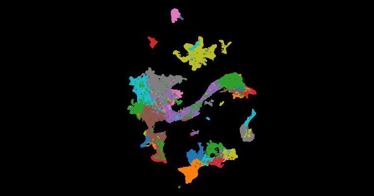 Molecular and cellular dynamics of the developing human neocortex