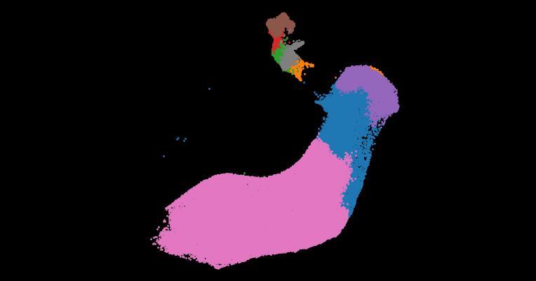 Molecular and cellular dynamics of the developing human neocortex