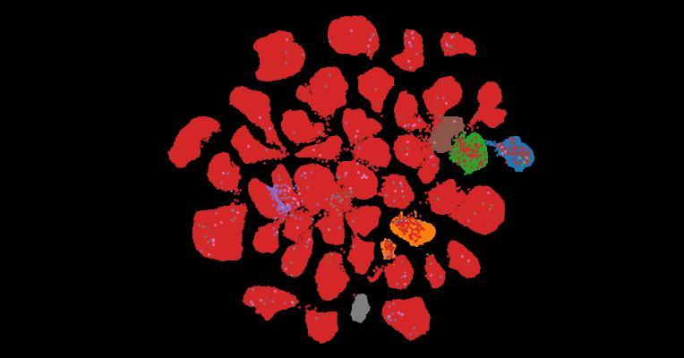 Tahoe-100M: A Giga-Scale Single-Cell Perturbation Atlas for Context-Dependent Gene Function and Cellular Modeling