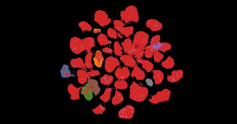 Tahoe-100M: A Giga-Scale Single-Cell Perturbation Atlas for Context-Dependent Gene Function and Cellular Modeling