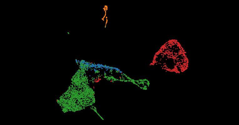 Single cell derived mRNA signals across human kidney tumors