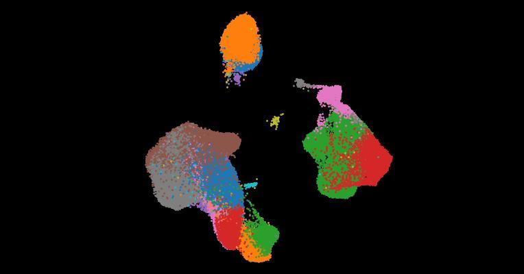 A single-cell cytokine dictionary of human peripheral blood
