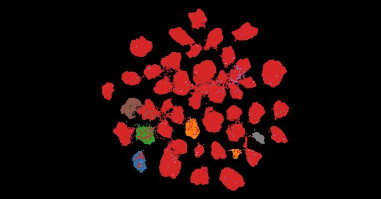 Tahoe-100M: A Giga-Scale Single-Cell Perturbation Atlas for Context-Dependent Gene Function and Cellular Modeling