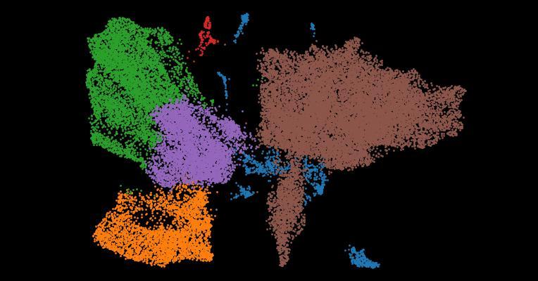 Spatially defined multicellular functional units in colorectal cancer revealed from single cell and spatial transcriptomics