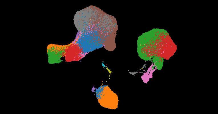 A single-cell cytokine dictionary of human peripheral blood