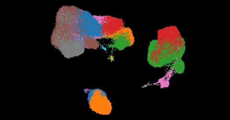 A single-cell cytokine dictionary of human peripheral blood