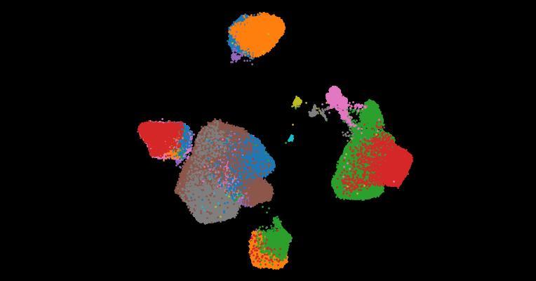 A single-cell cytokine dictionary of human peripheral blood