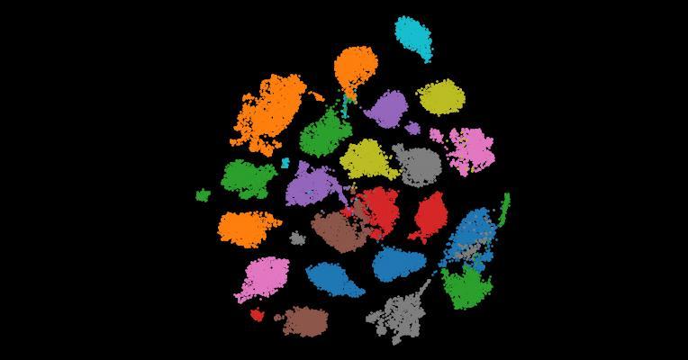 A single-cell cytokine dictionary of human peripheral blood
