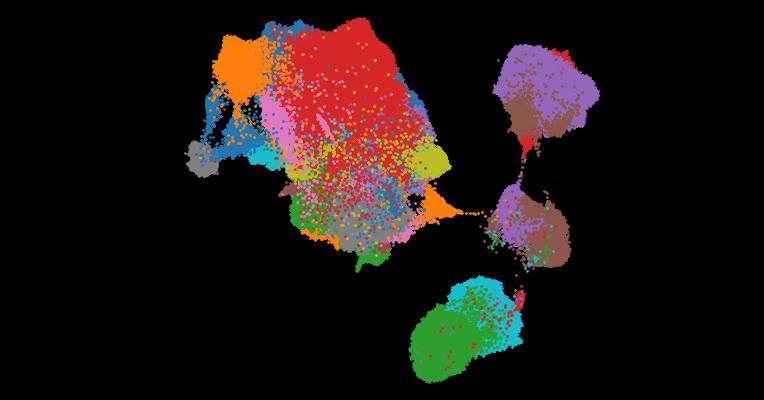 The Human Gut Cell Atlas v1.0: A Unified, Community-Built Reference of Cellular Diversity Across the Gut