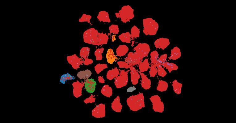 Tahoe-100M: A Giga-Scale Single-Cell Perturbation Atlas for Context-Dependent Gene Function and Cellular Modeling