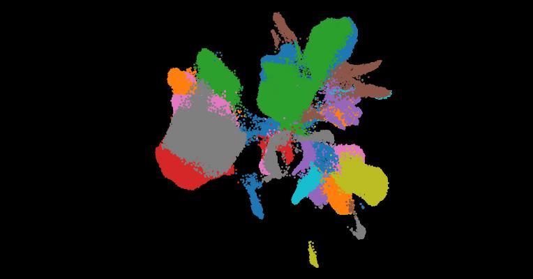 Automatic cell-type harmonization and integration across Human Cell Atlas datasets