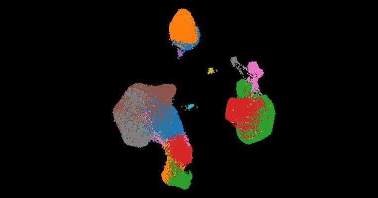 A single-cell cytokine dictionary of human peripheral blood