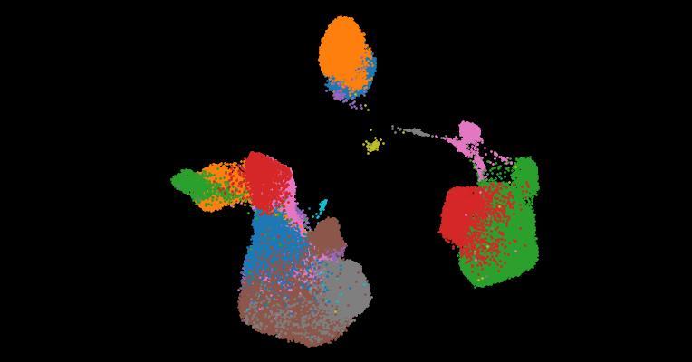 A single-cell cytokine dictionary of human peripheral blood