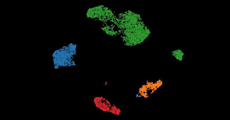 4D marmoset brain map reveals MRI and molecular signatures for onset of multiple sclerosis–like lesions
