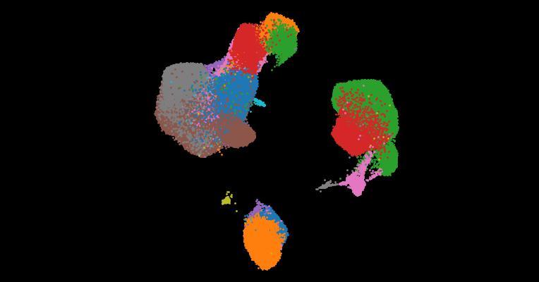 A single-cell cytokine dictionary of human peripheral blood