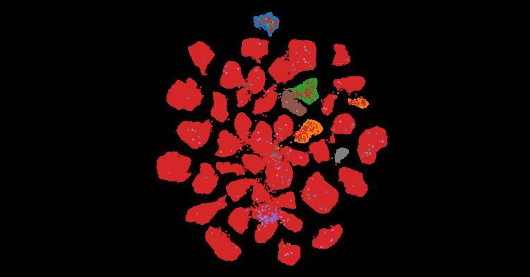 Tahoe-100M: A Giga-Scale Single-Cell Perturbation Atlas for Context-Dependent Gene Function and Cellular Modeling