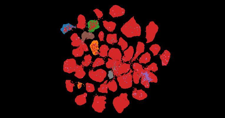 Tahoe-100M: A Giga-Scale Single-Cell Perturbation Atlas for Context-Dependent Gene Function and Cellular Modeling
