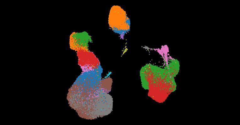 A single-cell cytokine dictionary of human peripheral blood
