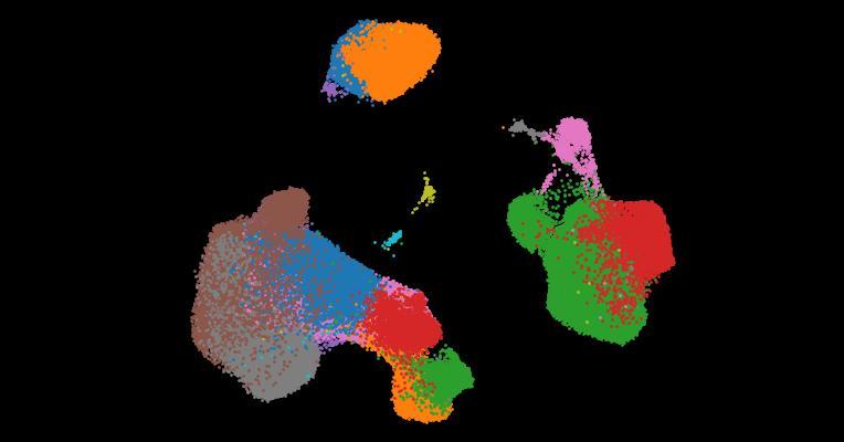 A single-cell cytokine dictionary of human peripheral blood